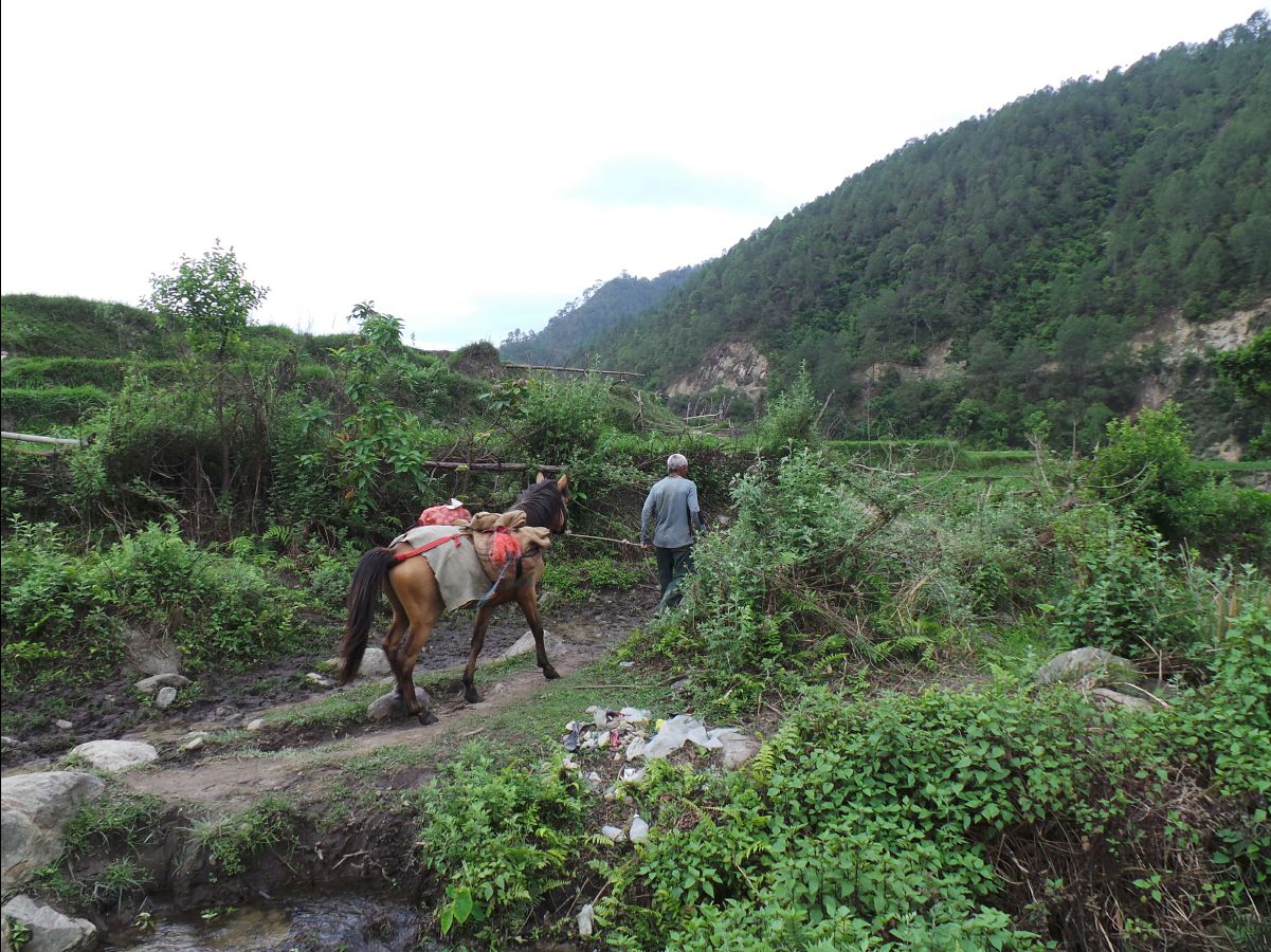 Gantey Hike23
